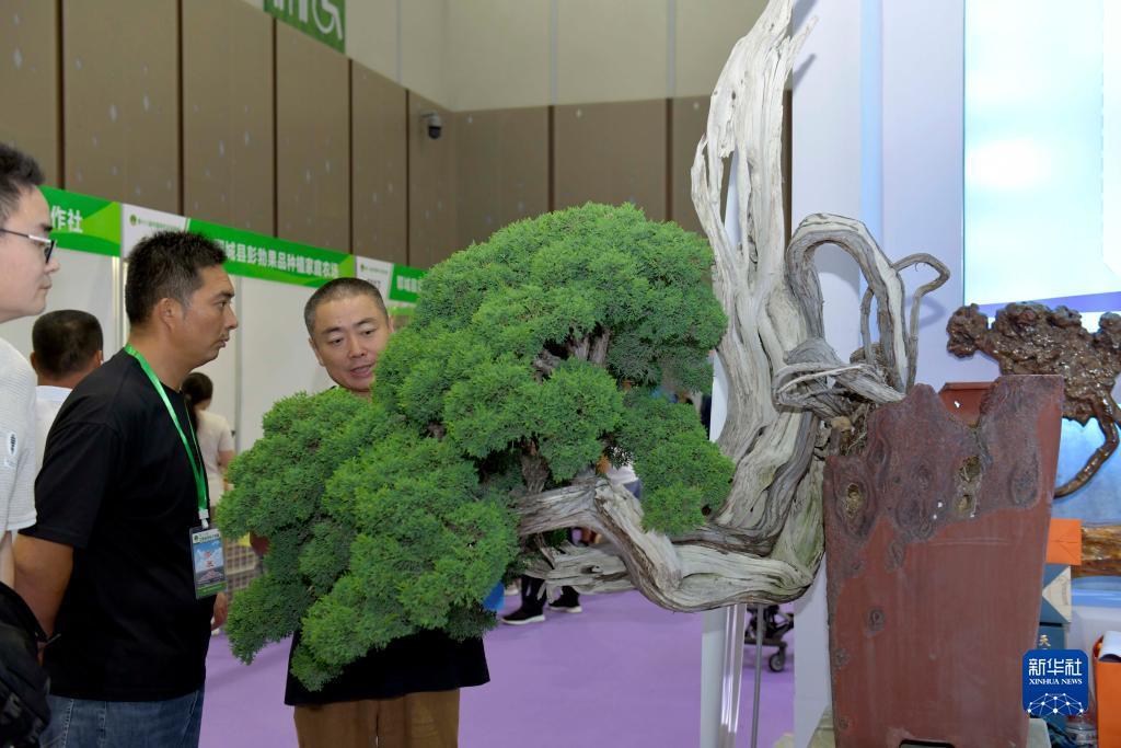 皇冠改投注